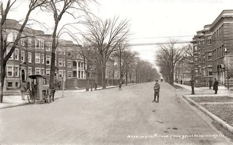 Postcard Chicago Sheridan Road N From Irving Park Tree Lined