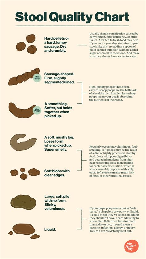 Color Of Your Poop Chart Stool Color Changes And Chart What Does It