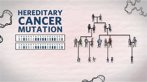 What Is Hereditary Cancer What Is A Hereditary Cancer Mutation Genetics 101 Ambry Genetics