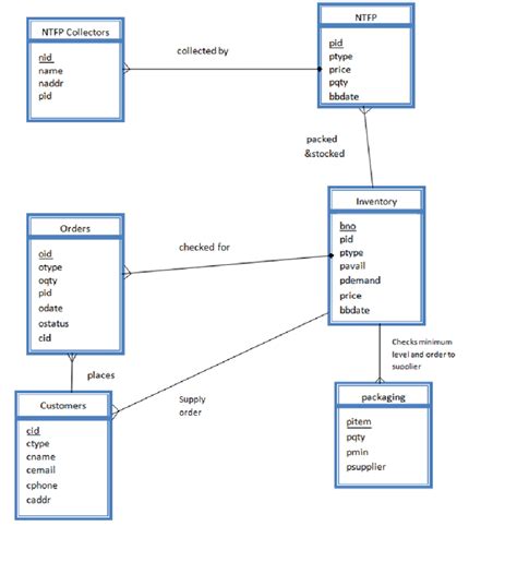 Entity Relationship Diagram Examples Database Flowchart Symbols Hot