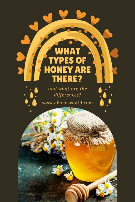 Raw Honey Vs Organic Honey Vs Pure Honey What Types Of Honey Are There And What Are The