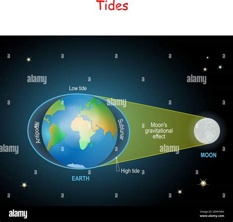 Tides Diagram Low And High Lunar Tides Effect Of Moon Gravitational