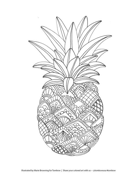 Zentangle Pineapple Coloring Page Illustrated By Marie Browning Fruit