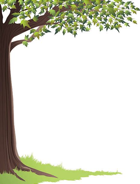 Royalty Free Tree Trunk Clip Art Vector Images And Illustrations Istock