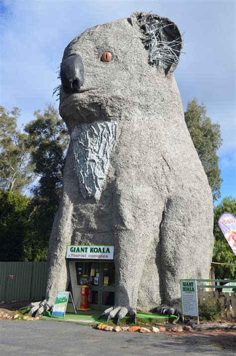 Alizul The Big Things 9 Of Australias Giant Roadside Sculptures