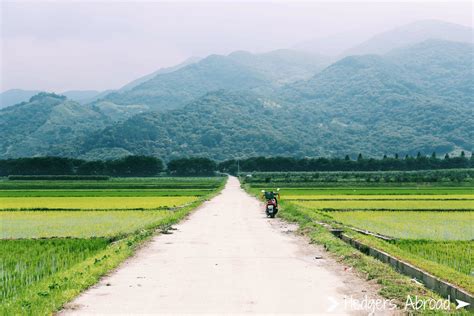 How To Get Out And Explore Rural Korea Hedgers Abroad