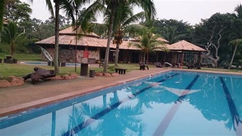 There are a variety of unique accommodation for visitors to choose from, including log cabins, chalets, bandwagons, tepees and kampong houses on stilts. The clean and well maintained pool - Picture of Eagle ...