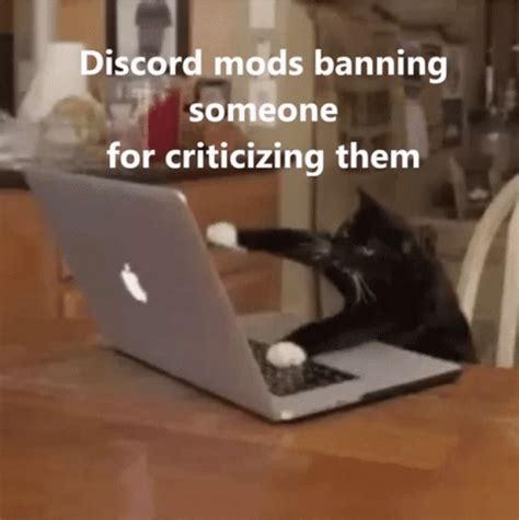 Discord Mods Cat Discord Mods Cat Ban Discover Share GIFs