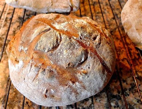 Rustic Italian Bread Recipe By Myra Cookeatshare