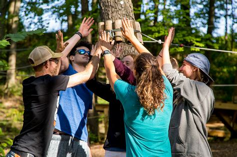 A successful team building activity will surely mean a more comfortable, successful workplace environment for any company, large or small. Team Building - Have A Treetop Trek With Your Office ...