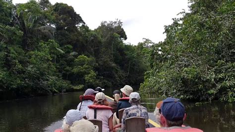 Amazon Rainforest 🇪🇨 Youtube