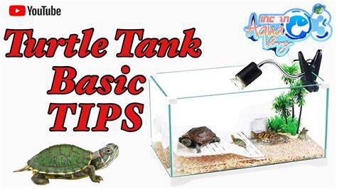 Turtle Aquarium Set Up Turtle Tank Ideas Turtle Tank Making Turtle Aquarium Price YouTube