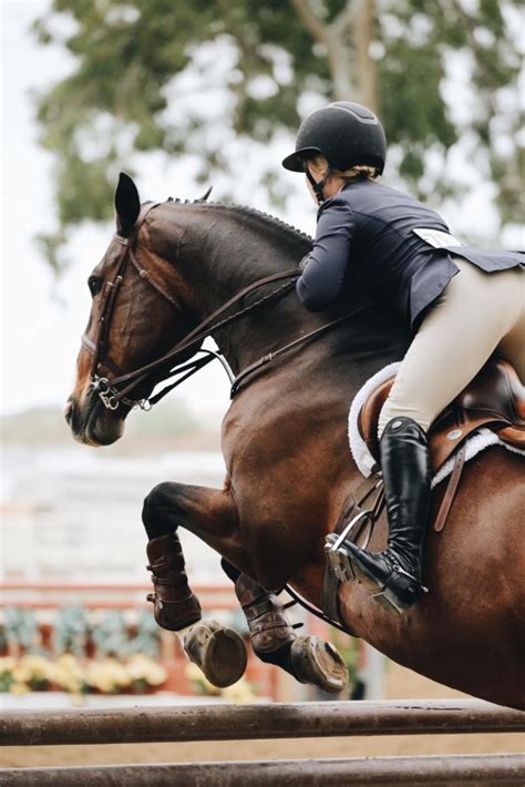 What Is The Correct Jumping Position For Horse Riders