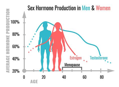 Cuáles son las funciones de las hormonas sexuales Mejor con Salud