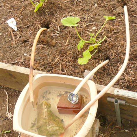 Self Watering Systems For Outdoor Plants Thriftyfun