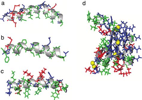 The Structures Of Selected Antibiotic Peptides The Charged Free