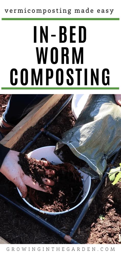 Vermicomposting Made Easy In Bed Worm Composting Growing In The