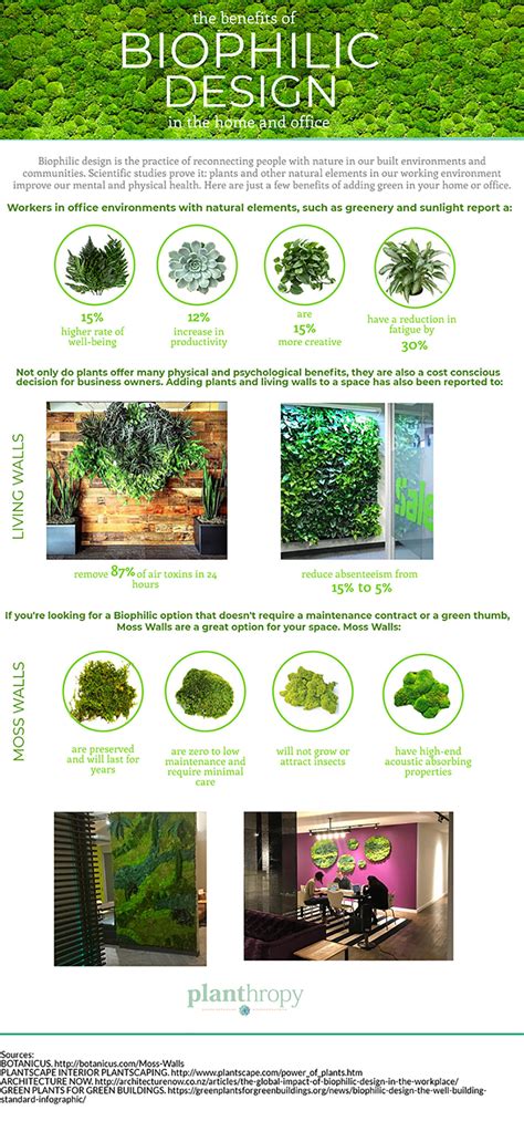 Infographic The Benefits Of Biophilic Design With Interior Plantscape