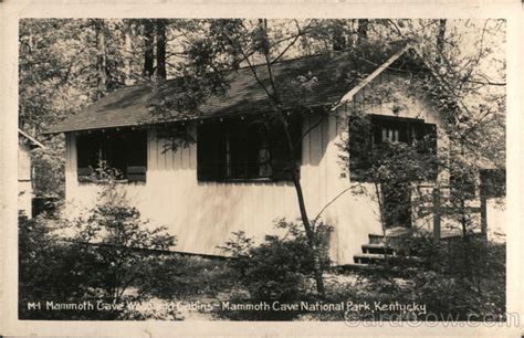Mammoth Cave Woodland Cabins Mammoth Cave National Park Postcard