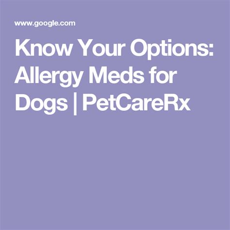 Know Your Options Allergy Meds For Dogs Meds For Dogs Allergy Meds