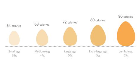 How Many Calories Are In An Egg Egg Calories Egg Nutrition Calorie