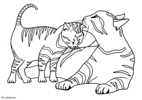 Disegni da colorare di gatti in questa categoria sono presenti 110 disegni. Disegno da colorare gattini - Disegni Da Colorare E Stampare Gratis - Imm. 17439