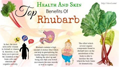 Does Rhubarb Have Any Health Benefits