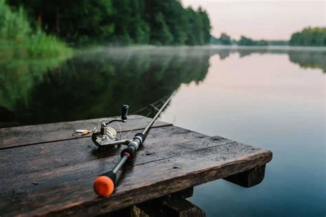 Quelles Espèces Pêcher En Rivière Carnacarpe Pêche De La Carpe Et