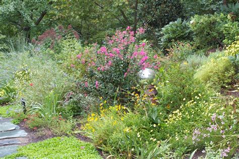 Native Plants In Northern Va Benefits Of Natural Landscaping