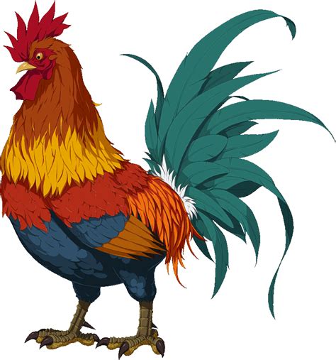 Chicken Bird Background PNG Image PNG Play
