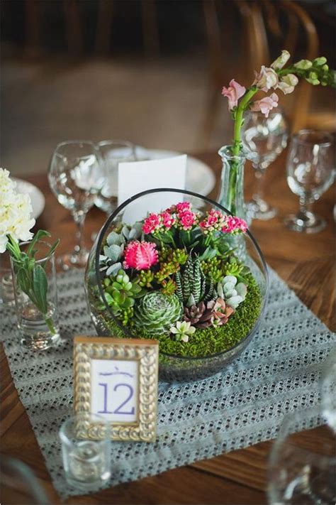 We did not find results for: How To Create And Care For Your Stunning Succulent ...
