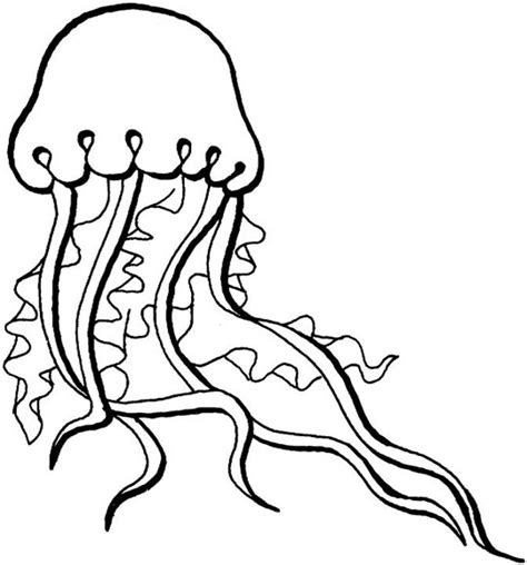 jellyfish coloring pages getcoloringpagescom