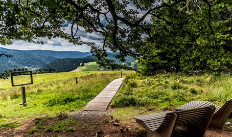 Hochschwarzwald Schwarzwald Tourismus GmbH