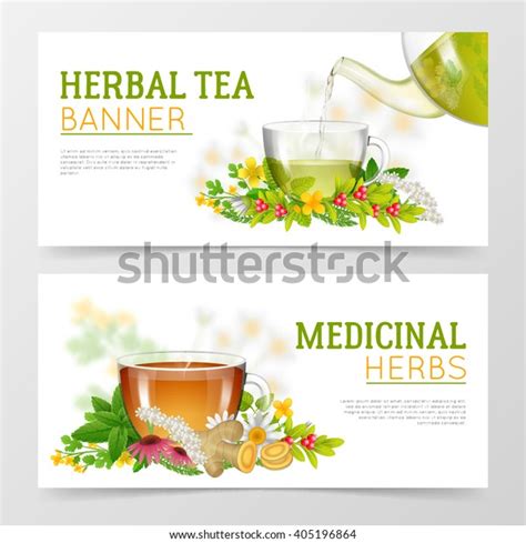 Two Horizontal Colorful Banners Medicinal Herbs Stock Vector Royalty