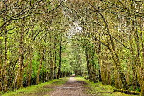 10 Best Hikes In New Forest National Park Atlas And Boots