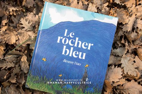 Le Rocher Bleu Un Album Sur La Résilience Milestoryfr