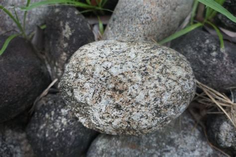 Granite Is Felsic Intrusive Plutonic Igneous Rock On Nature Background