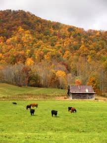 Susquehanna river landscape by fotofloridian. Fall Landscape 3 stock photo. Image of cattle, blue ...