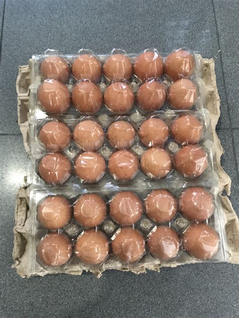 Jual Telur Ayam Negeri Isi 30 Butir Jakarta Barat Hen Hen Tokopedia