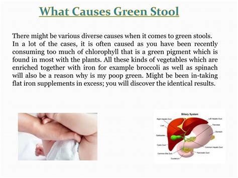 Ppt My Babys Poop Is Green Powerpoint Presentation Free Download