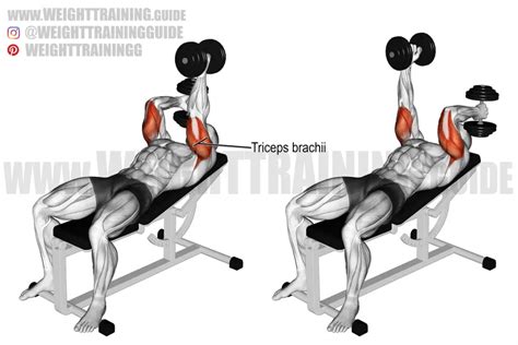 Lying Alternating Dumbbell Triceps Extension Exercise Instructions