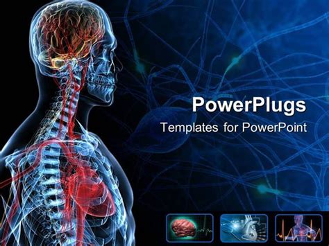 Anatomy Powerpoint Templates The Highest Quality