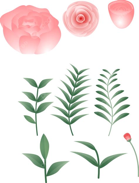 Rose Pink Flowers Vector Hd Png Images Beautiful Pink Rose Flower