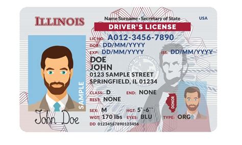 Illinois Fake Id Website Scannable Fake Id Buy Best Fake Id Card Online