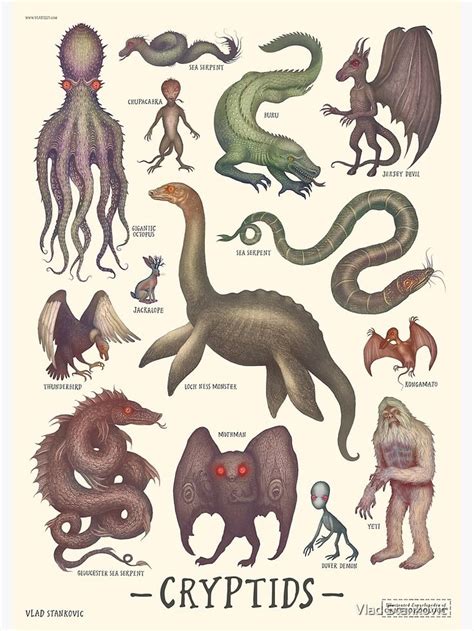 Cryptids Cryptozoology Species Poster By Vlad Stankovic