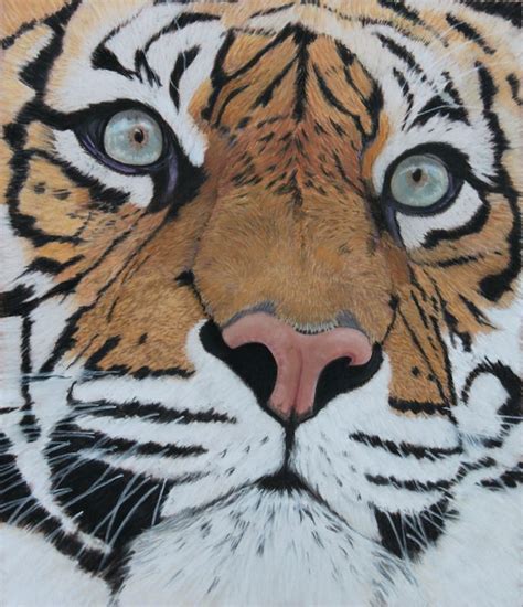 Sumatran Tiger Finalist For David Shepherd Wildlife Artist Of The
