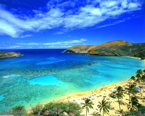 Welcome To Hawaii Wallpapers 4k Hd Welcome To Hawaii Backgrounds On