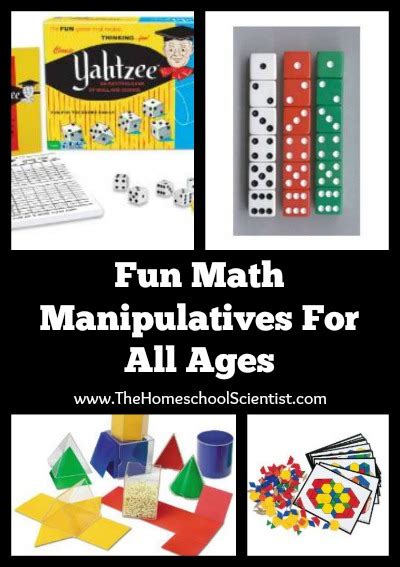 Fun Math Manipulatives For All Ages The Homeschool Scientist