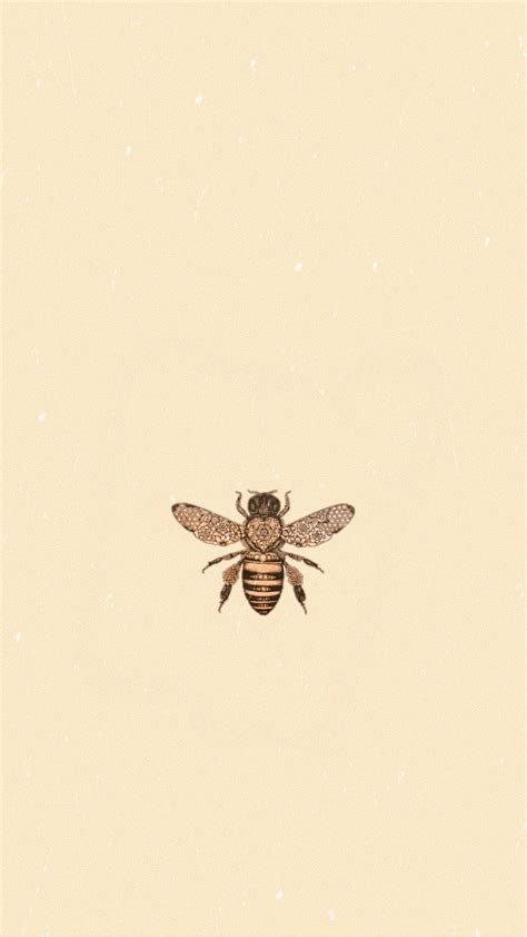 Pin De Bee En Aesthetic Wallpaper Dibujos Bonitos Fondos De Pantalla Images