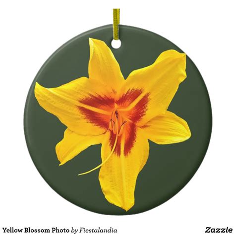 Start exploring these yellow christmas tree ornaments now and choose between a comprehensive category of products made exclusively for you to add more excitement to holiday celebrations. Yellow Blossom Photo Christmas Ornament | Floral christmas ...